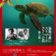 ★12/25「海亀の鼻にストローが刺さった日」　　第二章開催!